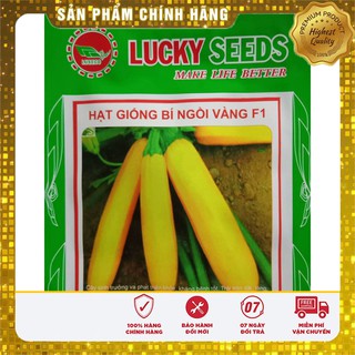 Bộ gói hạt giống bí ngòi vàng