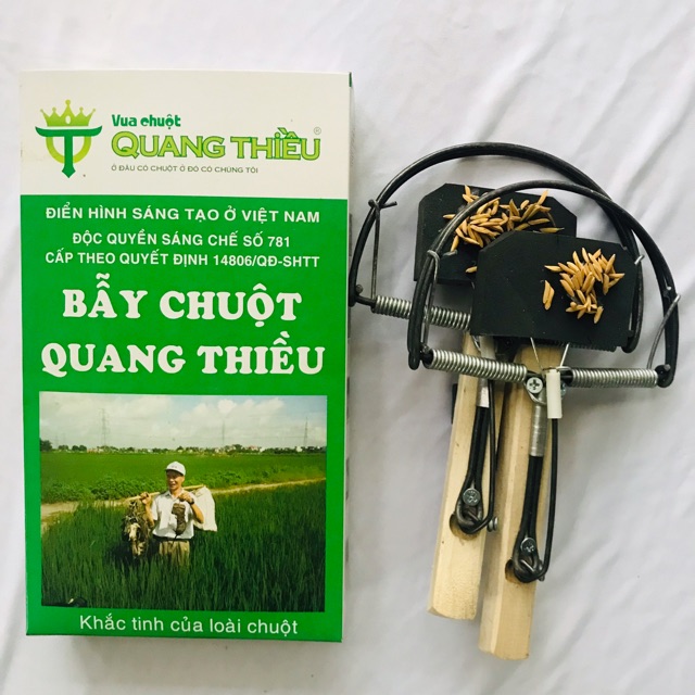 Combo 10 bẫy chuột