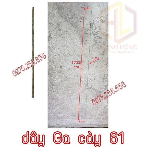 dây Ga cày 61