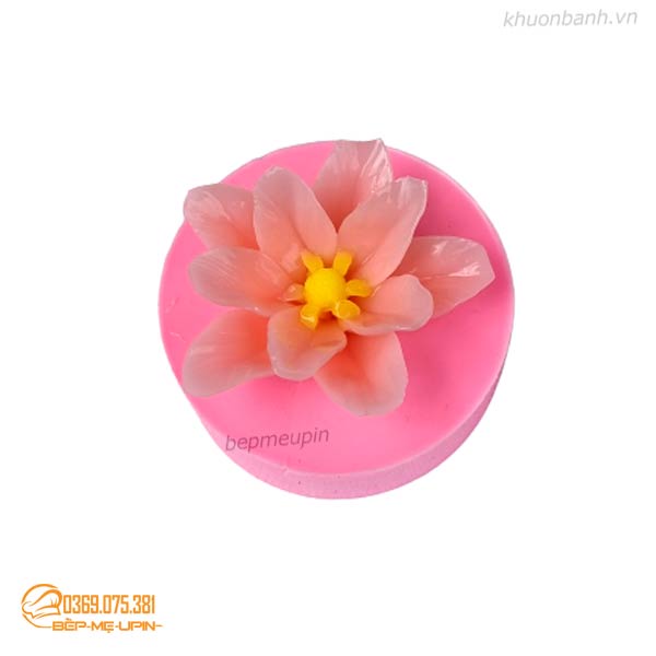 Khuôn silicon hoa trạng nguyên mã HS8