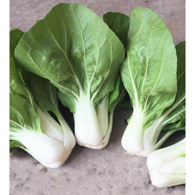 15Gram ~ 6000  Hạt Giống Cải Thìa Thân Trắng Lá Xanh Dễ Trồng, Mau Lớn