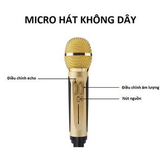 Loa karaoke mini di động SD-306 loa hát âm lớn, hát karaoke hay/Tặng Kèm 2 Mic Không Dây