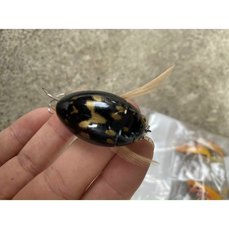 Mồi bọ cam câu lure