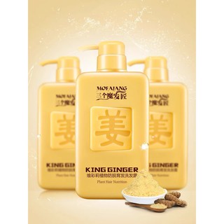 Dầu gội gừng KING GINGER MOFAJANG | Dầu gội gừng ngăn rụng tóc và kích thích mọc tóc