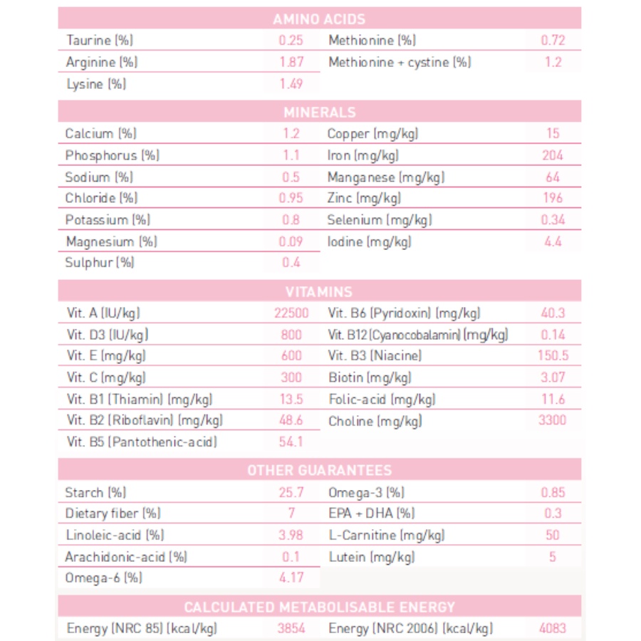 [Bao 10KG] Hạt Royal Canin Kitten Cho Mèo Từ 4-12 Tháng Tuổi