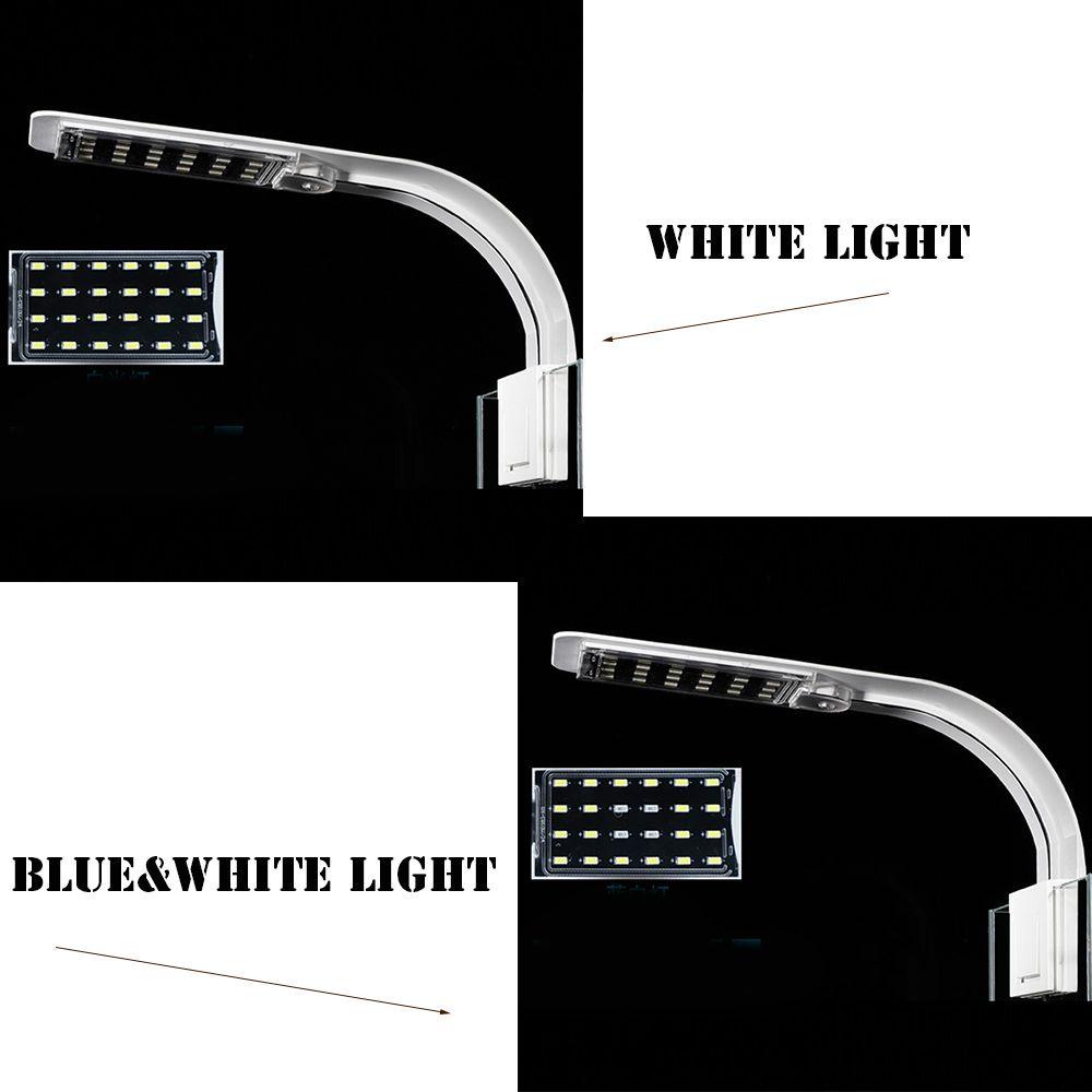 Đèn LED 220V Trang Trí Bể Cá Toàn Diện