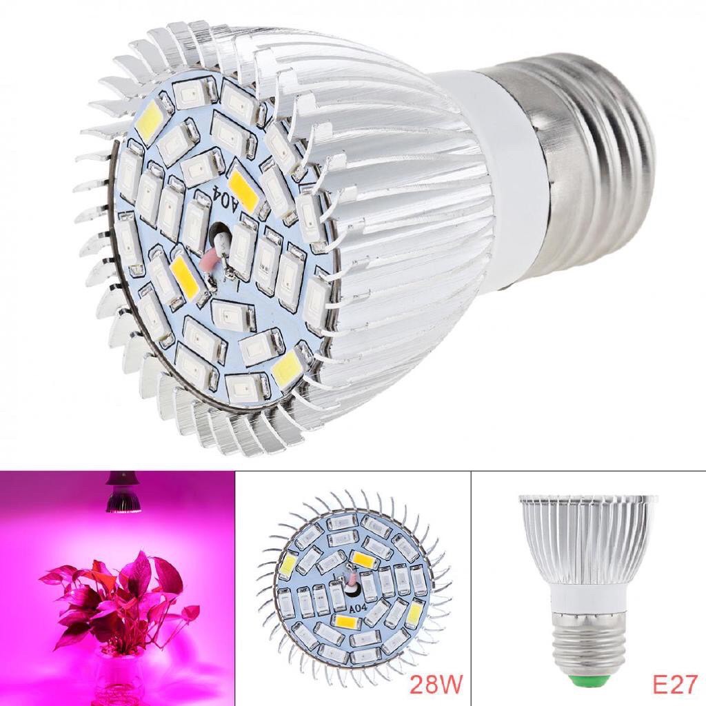 Đèn LED 28W - 30W hỗ trợ quang hợp cho cây trồng trong nhà