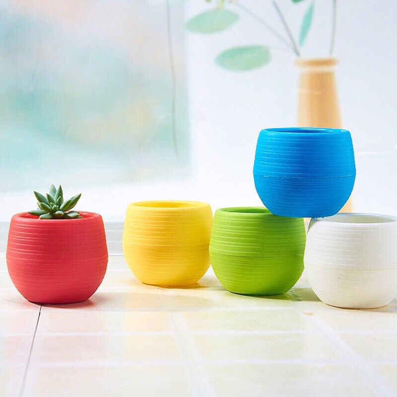 Đất trồng cây sen đá,xương rồng trộn sẵn kèm phân bón khoảng 400g - 500g siêu rẻ