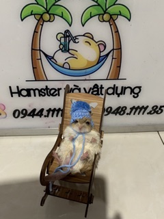 Nón cho hamster