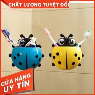 BỌ RÙA LEO TƯỜNG ĐỰNG ĐỒ ĐA NĂNG [Xưởng Sỉ Dương Biên]