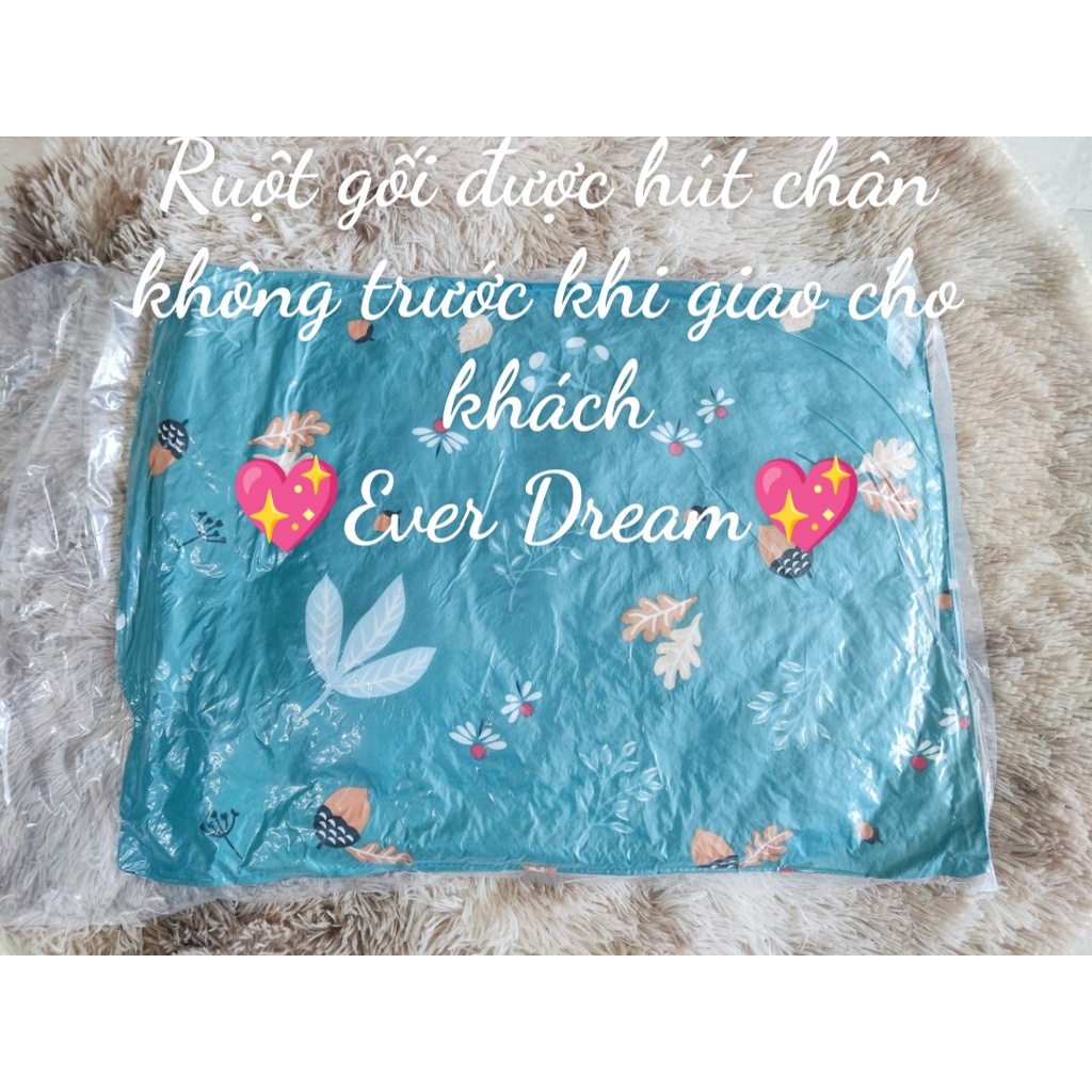 Ruột gối nằm EverDream 100% bông tinh khiết kháng khuẩn KT 45x65cm, vỏ ruột bằng vải cotton có họa tiết