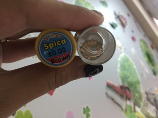 Combo lens thái