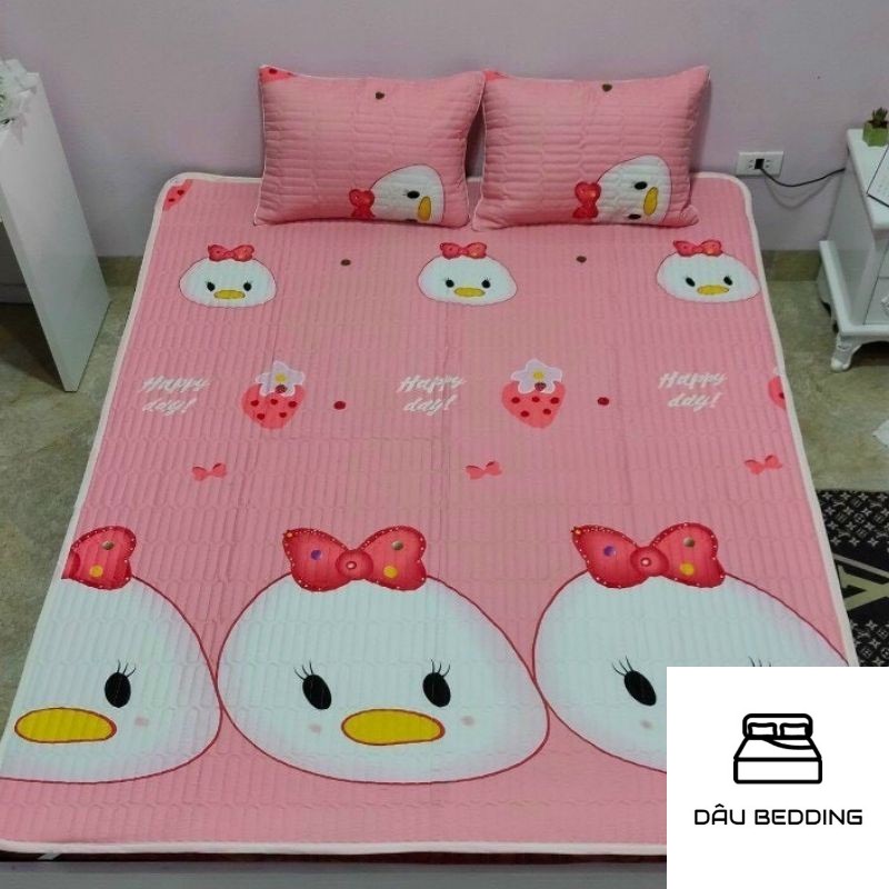 Chiếu Điều Hòa Cotton Đũi Thoáng Mát Mẫu Mới Đủ Kích Thước