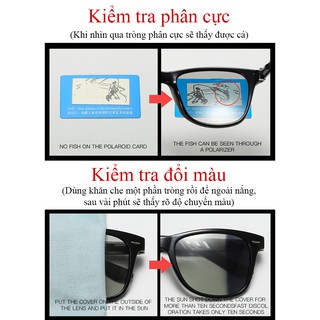 Mắt kính đổi màu đi ngày và đêm A575 - ROBEO