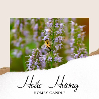 Tinh Dầu Thơm Nguyên Chất Hoắc Hương - Làm Nến Thơm, Xông Phòng 10ml