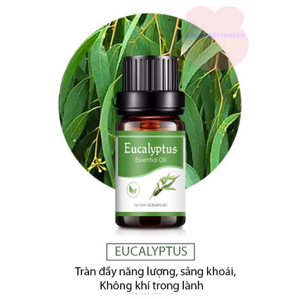 Tinh Dầu Xông Phòng 100% Thiên Nhiên Cao Cấp 10ml, hương thơm dịu nhẹ, không gây nhức đầu )