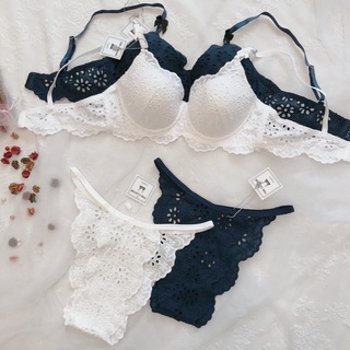 Bralette - đồ lót thiết kế - push up cotton