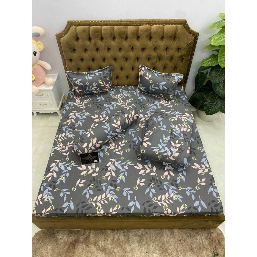 Bộ Drap Cotton hàn quốc bo chun nhiều mẫu mã đa dạng, mềm mịn