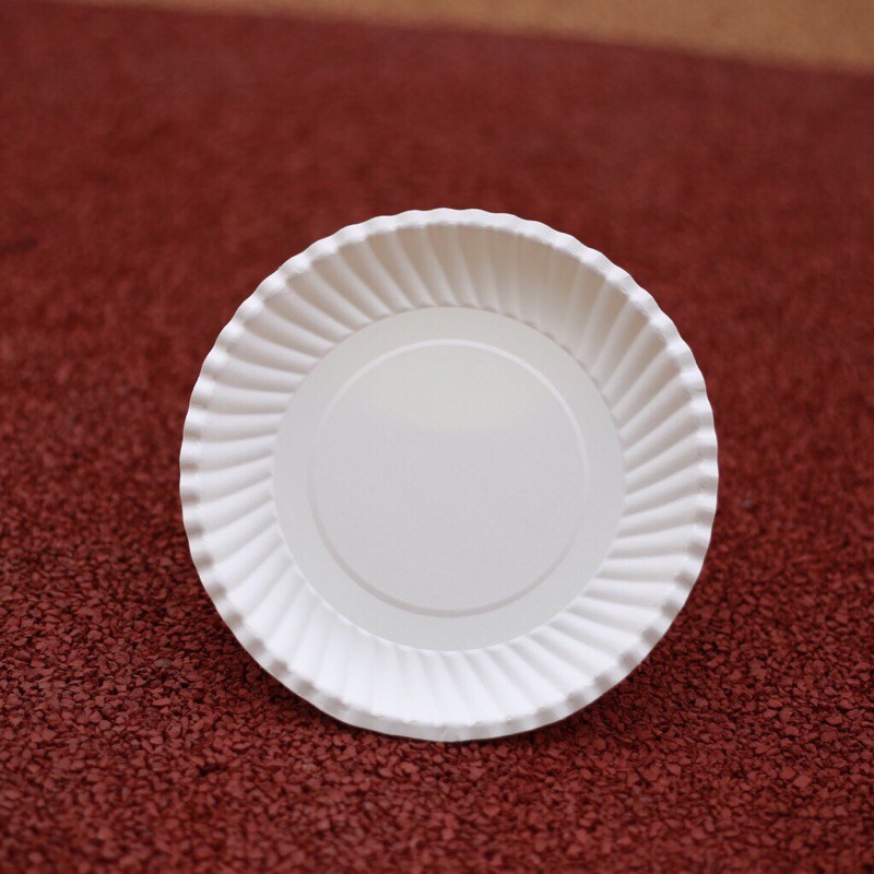 10 Dĩa giấy trắng dùng 1 lần 13cm&amp;16cm