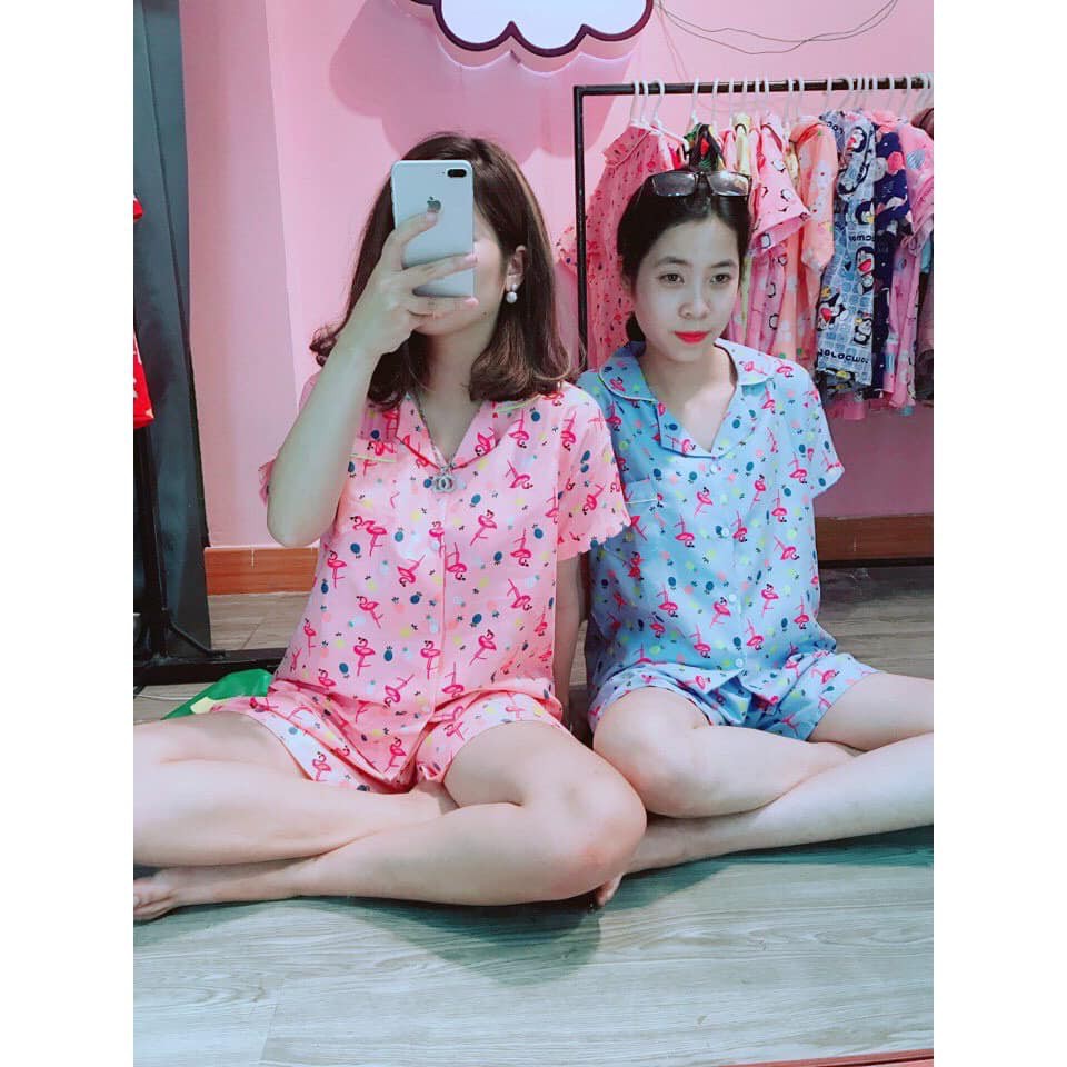 RẺ NHẤT😍Đồ Bộ Nữ Pijama Cộc Tay<Freeship> bộ mặc nhà dễ thương Kate Thái mềm mại | BigBuy360 - bigbuy360.vn