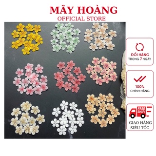 Hoa mai nhí bột mỹ gắn móng trang trí móng