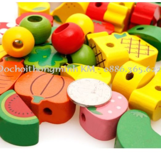 Bộ sâu hạt nhím hoa quả đồ chơi giáo dục