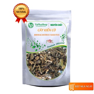 Cây kiến cò sấy khô - Thảo dược Tấn Phát