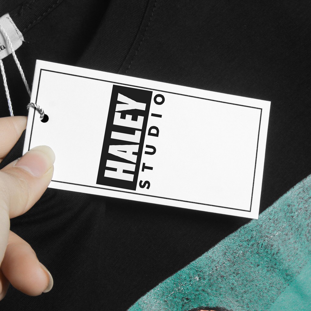 Áo Hoodie Nam Nữ Traveler Alaska unisex phong cách Hàn Quốc cá tính, Sweater HALEY Chất nỉ bồng đẹp mã HD84 | BigBuy360 - bigbuy360.vn