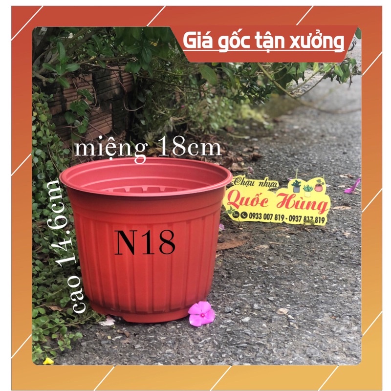 Chậu nhựa Nâu N18 trồng sen đá,xương rồng thương hiệu Quốc Hùng