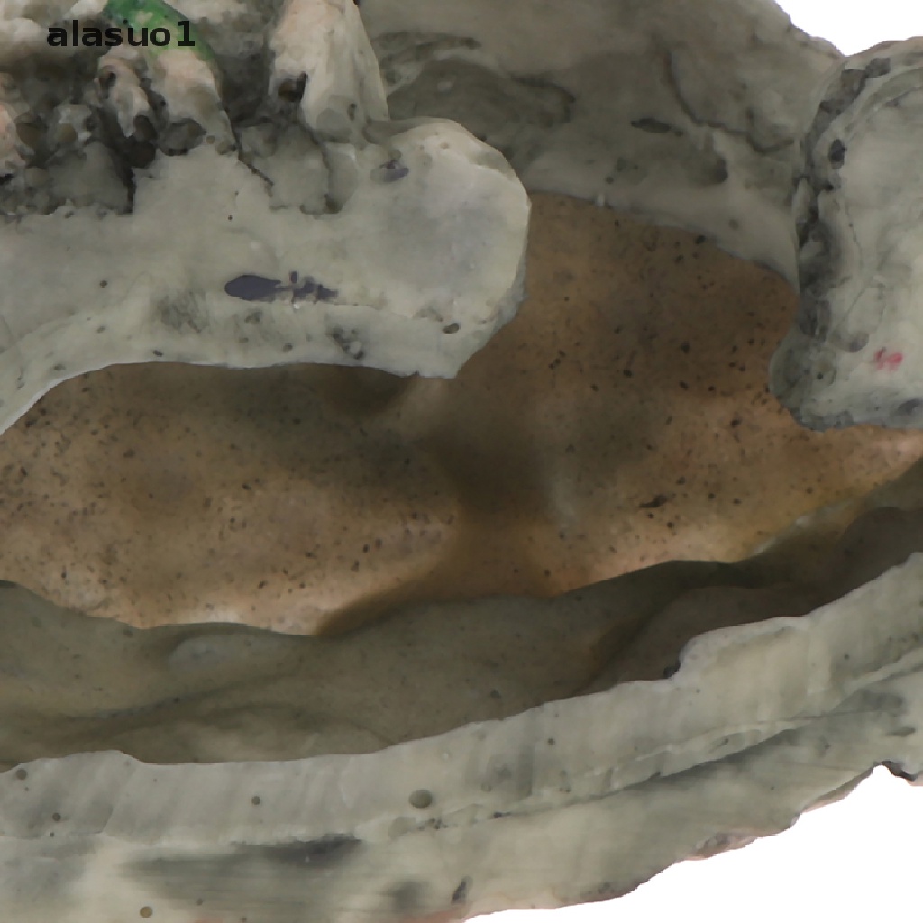 [alasuo1] Đá Leo Trèo / Hang Động Trang Trí Bể Cá