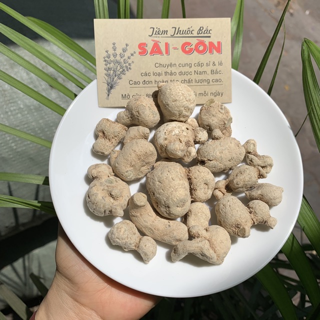 Củ Tam Thất Nam 500gram (Hàng mới, củ đẹp)