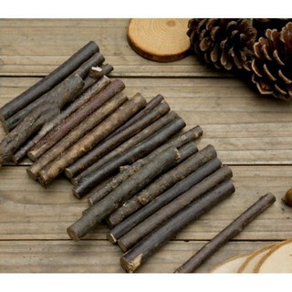 combo cành 20 cành gỗ khô màu nâu y hình dùng làm đồ trang trí vintage làm decor sáng tạo