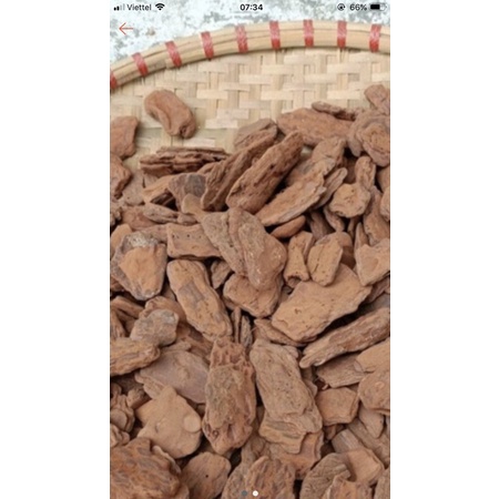 1 kg Vỏ thông trồng lan đã qua sử lý mài cạnh - size 3-4cm, ảnh và video thật