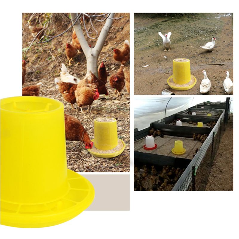 Dụng cụ cho chim ăn tự động tiện dụng