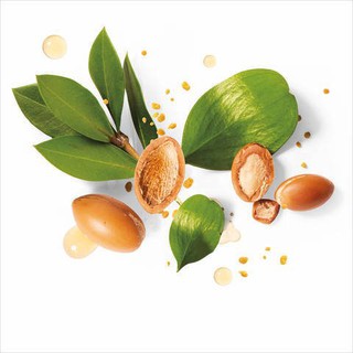 Dầu Argan 100ml