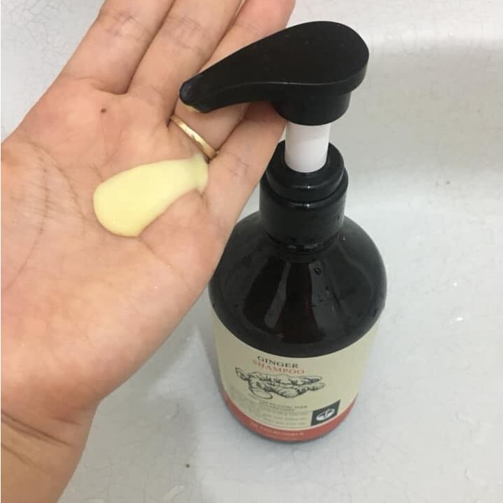 Dầu gội gừng không silicon trị gàu 500ml | BigBuy360 - bigbuy360.vn