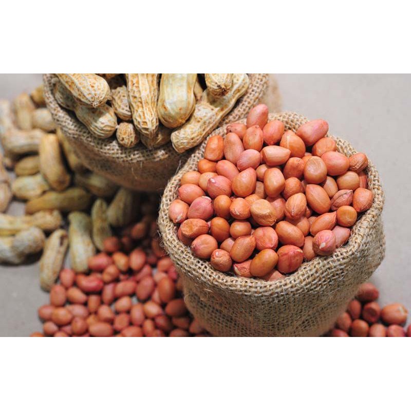 Đậu phộng nguyên hạt TAFOOD 500g
