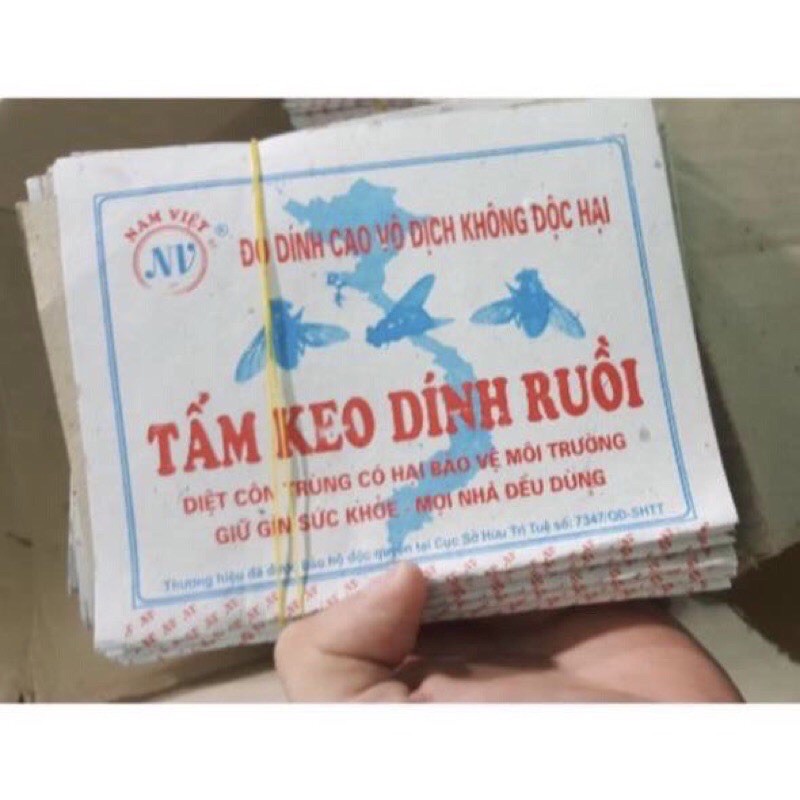 Tấm keo dính ruồi 10 vỉ siêu dính