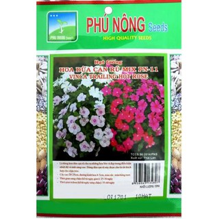 Hạt Giống Hoa Dừa Cạn Lùn Nhiều Màu