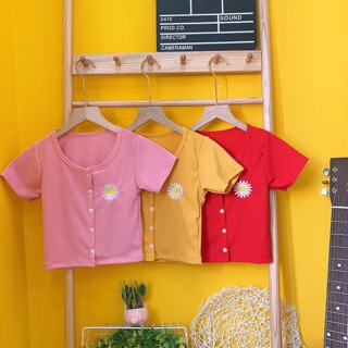 Áo croptop phối nút thêu hoa cúc