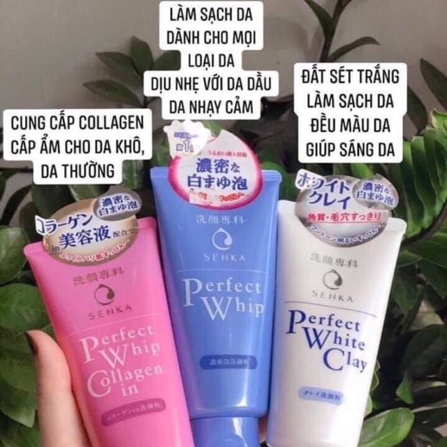 Sữa rửa mặt Whip