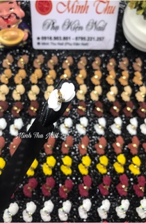 🌼HOA CÚC LỆCH🌻(12000đ/1 bông)
