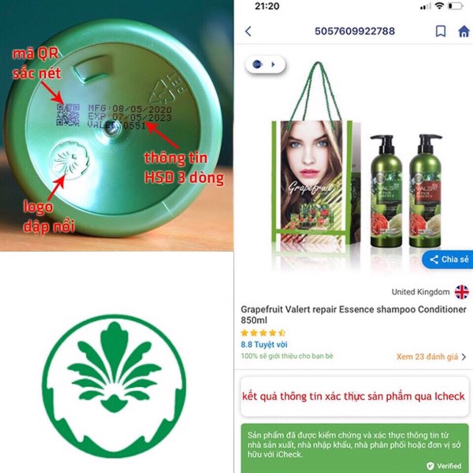 DẦU GỘI DẦU XẢ BƯỞI GRAPEFRUIT PLUS CHỐNG RỤNG TÓC PHỤC HỒI HƯ TỔN 850ML