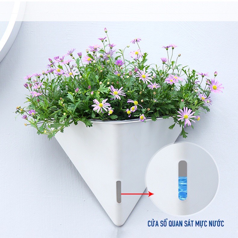 Chậu cây treo tường hình kim tự tháp Oliz-K104. Chậu trồng cây thông minh tự tưới nước
