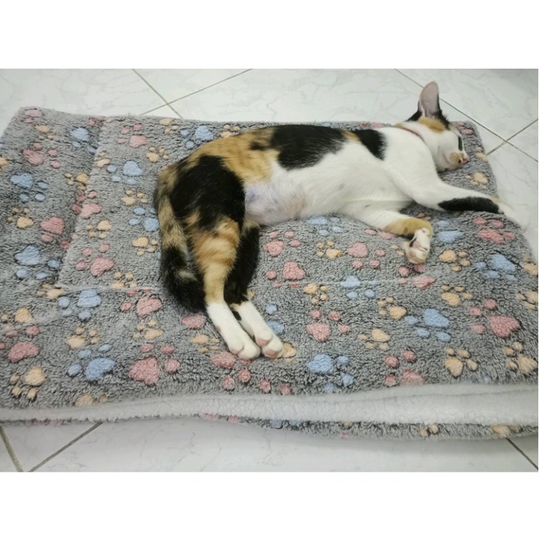 THẢM NẰM CHO CHÓ MÈO MỀM MỊN - LOVE PETS SHOP