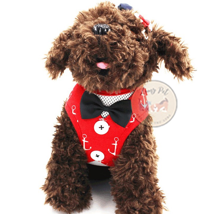 [Mã PET50K giảm Giảm 10% - Tối đa 50K đơn từ 250K] Đai/dây dắt chó mèo đi dạo kèm áo yếm có nơ dễ thương, tiện dụng