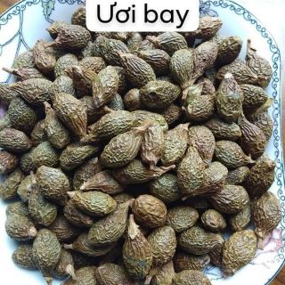 Hạt ươi bay, quả đười ươi