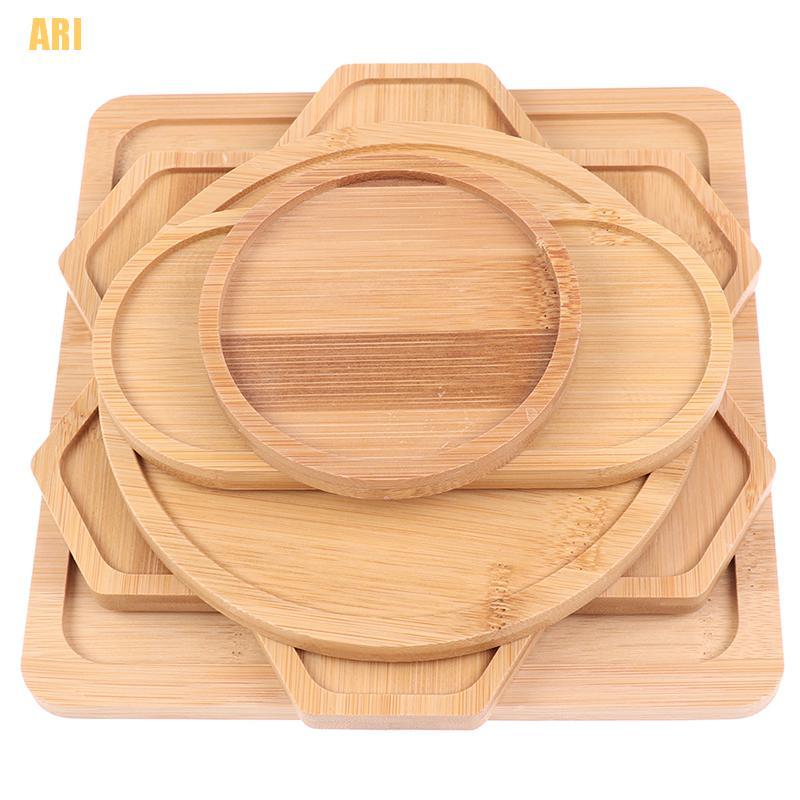 Đĩa Tre Hình Tròn / Vuông Dùng Trồng Cây Mọng Nước Tiện Dụng
