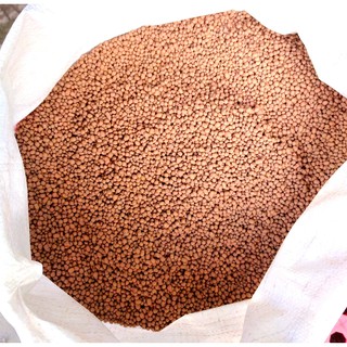 Sỏi nhẹ đất sét nung Thái lan size L 1kg