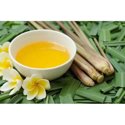 / 500Ml TInh dầu sả chanh phước quảng